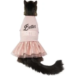 Frisco Better Together Dog & Cat Dress -Meow Meals 268652 PT3. AC SS1800 V1637668331