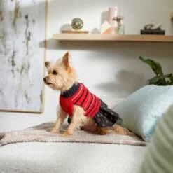 Frisco Chenille Knit Striped Dog & Cat Dress -Meow Meals 268668 PT8. AC SS1800 V1629762896