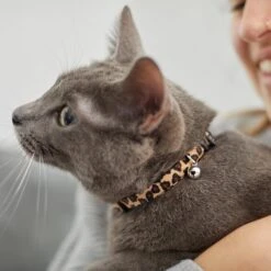 Leopard Print Cat Collar -Meow Meals 269496 PT4. AC SS1800 V1617037438