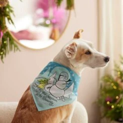 STAR WARS THE MANDALORIAN GROGU "Tis The Season" Dog & Cat Bandana -Meow Meals 270539 PT5. AC SS1800 V1637671593
