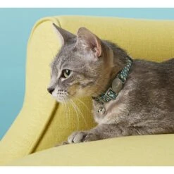 Frisco Pineapple Polyester Personalized Breakaway Cat Collar With Bell -Meow Meals 271597 PT4. AC SS1800 V1618936919