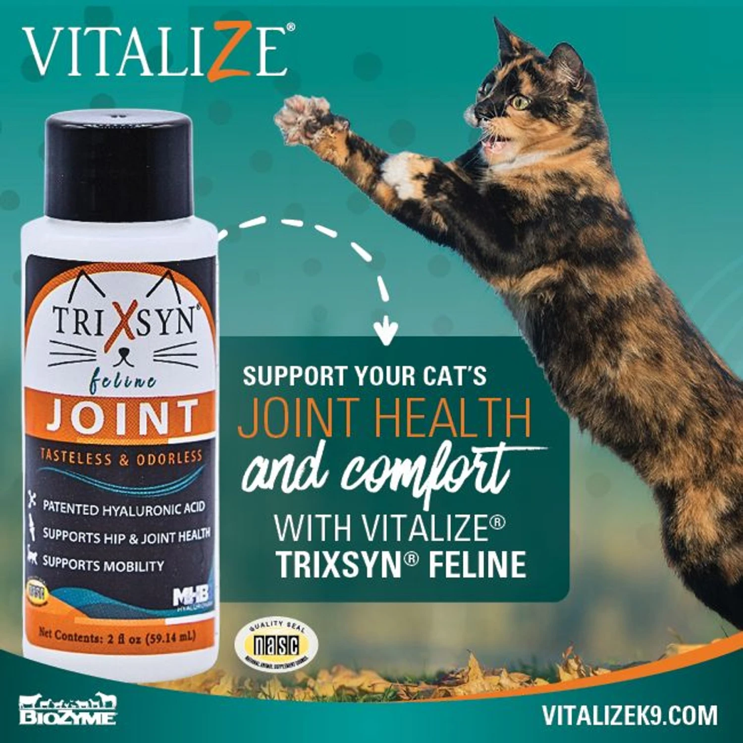 Trixsyn Feline Hyaluronan Joint Support Cat Supplement, 2-oz Bottle 6 Trixsyn Feline Hyaluronan Joint Support Cat Supplement, 2-oz Bottle - Image 4