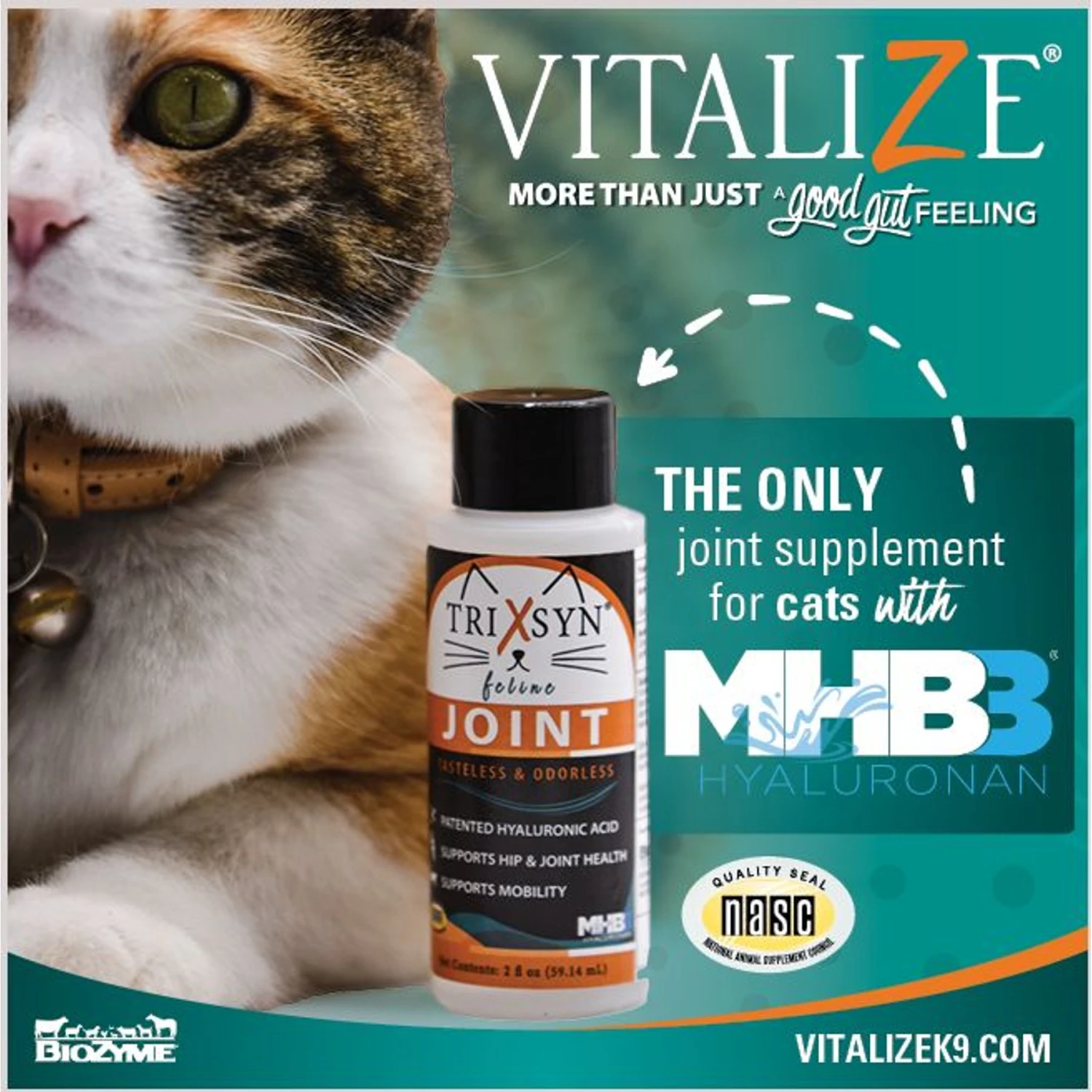 Trixsyn Feline Hyaluronan Joint Support Cat Supplement, 2-oz Bottle 4 Trixsyn Feline Hyaluronan Joint Support Cat Supplement, 2-oz Bottle - Image 2