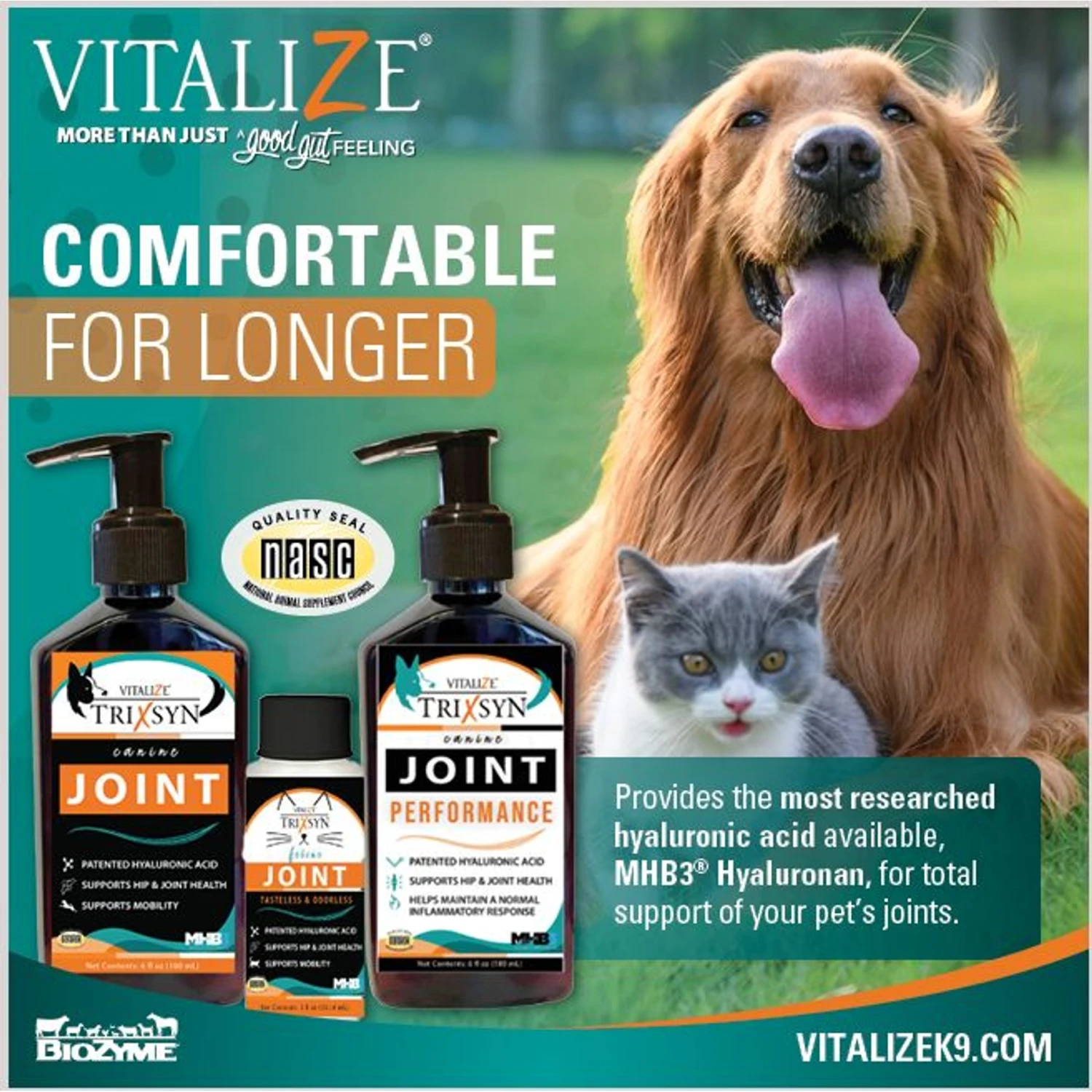 Trixsyn Feline Hyaluronan Joint Support Cat Supplement, 2-oz Bottle 5 Trixsyn Feline Hyaluronan Joint Support Cat Supplement, 2-oz Bottle - Image 3