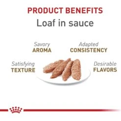 Royal Canin Feline Health Nutrition Aging 12+ Loaf In Sauce Canned Cat Food -Meow Meals 272682 PT2. AC SS1800 V1697733666