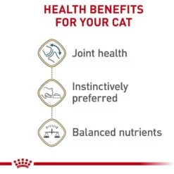 Royal Canin Feline Health Nutrition Aging 12+ Loaf In Sauce Canned Cat Food -Meow Meals 272682 PT3. AC SS1800 V1697759567