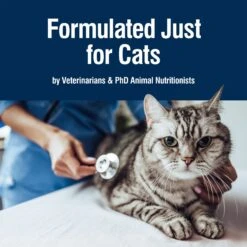 Blue Buffalo True Solutions Fab Feline Indoor Formula Chicken Wet Cat Food, 3-oz Can, Case Of 24 15 Blue Buffalo True Solutions Fab Feline Indoor Formula Chicken Wet Cat Food, 3-oz Can, Case Of 24 -Meow Meals 272835 PT6. AC SS1800 V1628187981