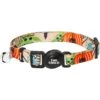 STAR WARS THE MANDALORIAN GROGU Pumpkin Dog Collar -Meow Meals 272940 MAIN. AC SS1800 V1623273743