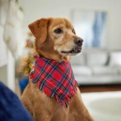 Frisco Red/Green Plaid Dog & Cat Flannel Bandana -Meow Meals 276201 PT5. AC SS1800 V1637669261