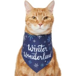 Frisco Winter Wonderland Dog & Cat Bandana -Meow Meals 276279 PT2. AC SS1800 V1637675218
