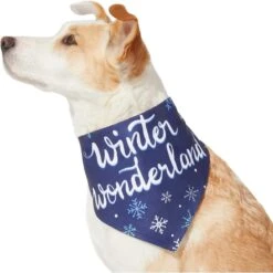 Frisco Winter Wonderland Dog & Cat Bandana -Meow Meals 276279 PT3. AC SS1800 V1637688134