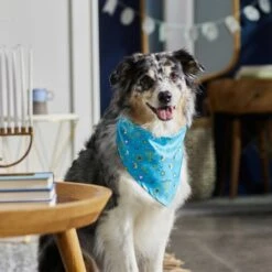 Frisco Festive Hanukkah Dog & Cat Bandana -Meow Meals 276282 PT5. AC SS1800 V1637653030