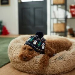 Frisco Jolly Snowman Dog & Cat Knitted Hat -Meow Meals 276303 PT8. AC SS1800 V1631300384