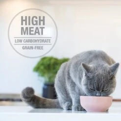 Feline Natural Variety Pack Grain-Free Wet Cat Food, 3-oz Pouch, Case Of 12 -Meow Meals 277486 PT3. AC SS1800 V1628703676