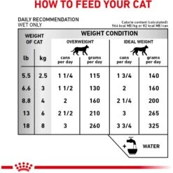 Royal Canin Veterinary Diet Adult Renal Support Early Consult Loaf In Sauce Canned Cat Food -Meow Meals 278913 PT5. AC SS1800 V1701882070
