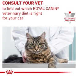 Royal Canin Veterinary Diet Adult Renal Support Early Consult Loaf In Sauce Canned Cat Food -Meow Meals 278913 PT8. AC SS1800 V1701881225