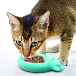 Doc & Phoebe's Cat Co. The Wet Feeder Cat Slow Feeder, Blue -Meow Meals 279343 PT3. AC SS1800 V1617402813