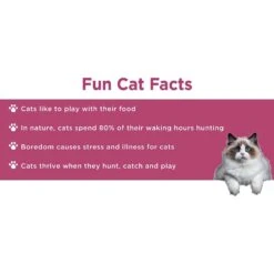 Doc & Phoebe's Cat Co. The Wet Feeder Cat Slow Feeder, Blue -Meow Meals 279343 PT6. AC SS1800 V1617399450