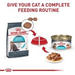 Royal Canin Feline Care Nutrition Urinary Care Thin Slices In Gravy Canned Cat Food 16 Royal Canin Feline Care Nutrition Urinary Care Thin Slices In Gravy Canned Cat Food -Meow Meals 282769 PT5. AC SS1800 V1697758592