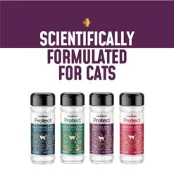 Veterinary Select Protect Healthy Mind Probiotic Cat Supplement, 2.12-oz Jar -Meow Meals 283173 PT7. AC SS1800 V1617848498