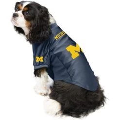 Littlearth NCAA Stretch Dog & Cat Jersey, Michigan Wolverines 11 Littlearth NCAA Stretch Dog & Cat Jersey, Michigan Wolverines -Meow Meals 284070 PT2. AC SS1800 V1619542940