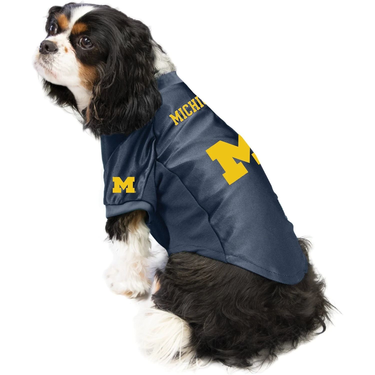 Littlearth NCAA Stretch Dog & Cat Jersey, Michigan Wolverines 5 Littlearth NCAA Stretch Dog & Cat Jersey, Michigan Wolverines - Image 3