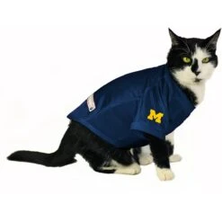 Littlearth NCAA Stretch Dog & Cat Jersey, Michigan Wolverines 13 Littlearth NCAA Stretch Dog & Cat Jersey, Michigan Wolverines -Meow Meals 284070 PT4. AC SS1800 V1619542916