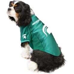 Littlearth NCAA Stretch Dog & Cat Jersey, Michigan State Spartans -Meow Meals 284096 PT2. AC SS1800 V1619541731
