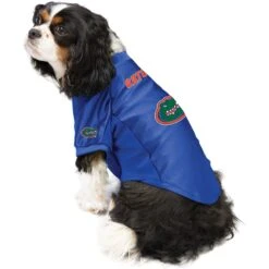 Littlearth NCAA Stretch Dog & Cat Jersey, Florida Gators 11 Littlearth NCAA Stretch Dog & Cat Jersey, Florida Gators -Meow Meals 284157 PT2. AC SS1800 V1619598759