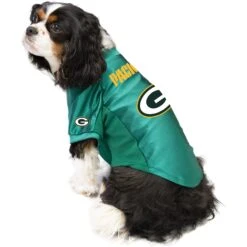 Littlearth NFL Stretch Dog & Cat Jersey, Green Bay Packers -Meow Meals 284210 PT2. AC SS1800 V1619593640