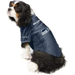 Littlearth NFL Stretch Dog & Cat Jersey, Seattle Seahawks -Meow Meals 284222 PT2. AC SS1800 V1619563031