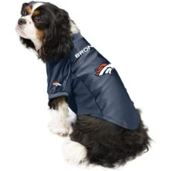 Littlearth NFL Stretch Dog & Cat Jersey, Denver Broncos -Meow Meals 284243 PT2. AC SS1800 V1619575993
