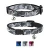 Buckle-Down Personalized Breakaway Cat Collar With Bell -Meow Meals 285761 MAIN. AC SS1800 V1621003055