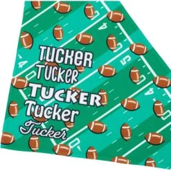 Frisco Football Personalized Dog & Cat Bandana 15 Frisco Football Personalized Dog & Cat Bandana -Meow Meals 287044 PT4. AC SS1800 V1623246178