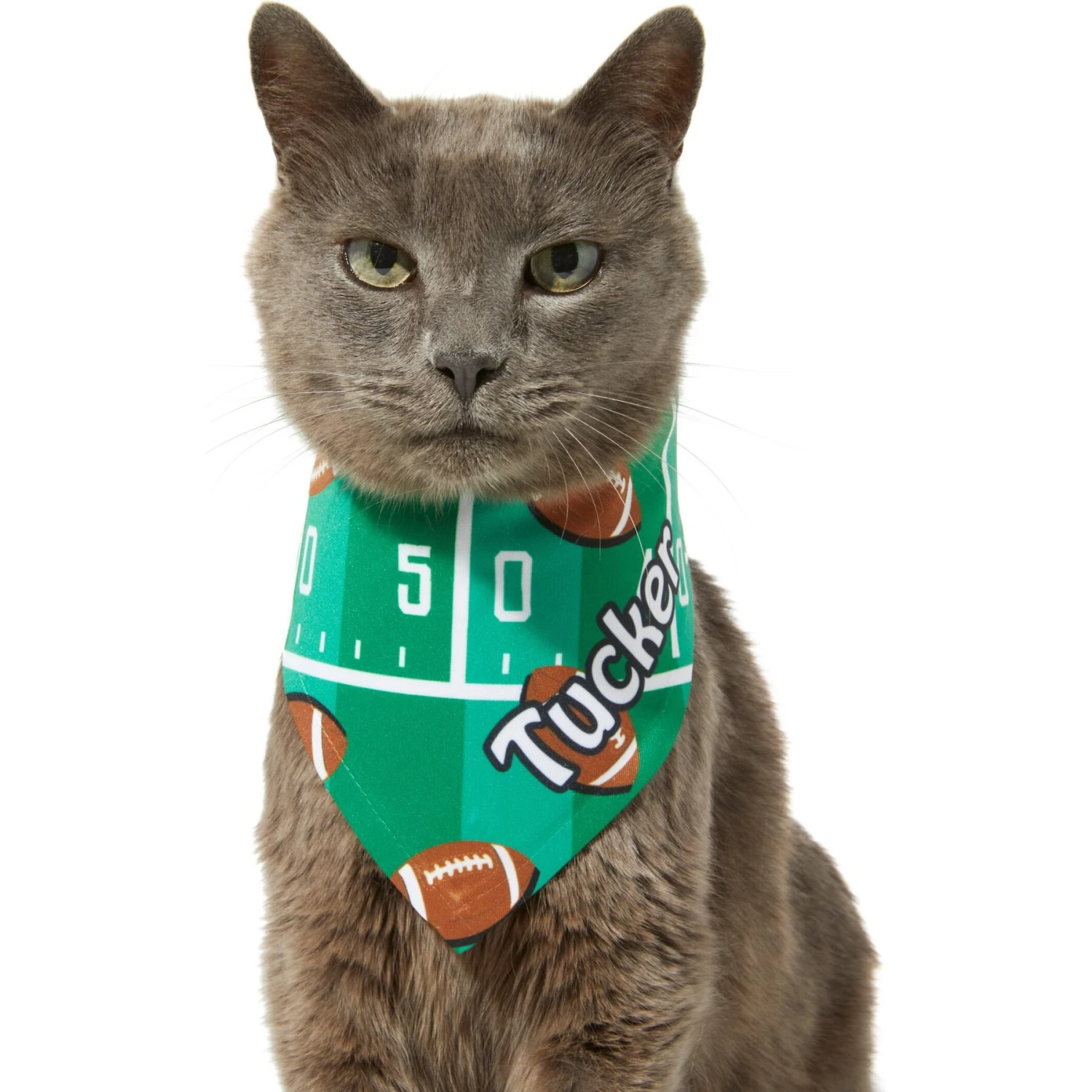 Frisco Football Personalized Dog & Cat Bandana 10 Frisco Football Personalized Dog & Cat Bandana - Image 8