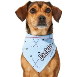 Frisco Ice Hockey Personalized Dog & Cat Bandana -Meow Meals 287048 PT6. AC SS1800 V1623246568