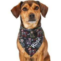 Frisco Dia De Los Muertos Personalized Dog & Cat Bandana -Meow Meals 287052 PT6. AC SS1800 V1623246755