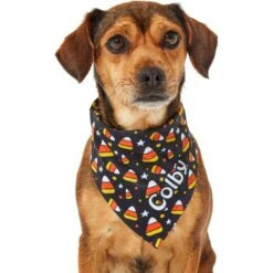 Frisco Candy Corn Personalized Dog & Cat Bandana 17 Frisco Candy Corn Personalized Dog & Cat Bandana -Meow Meals 287056 PT6. AC SS1800 V1623246504