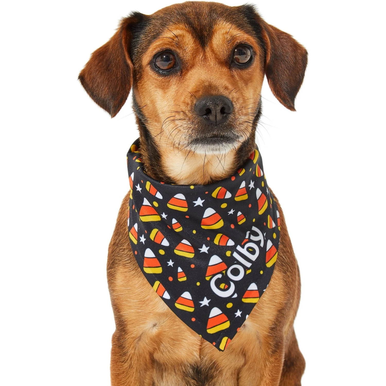 Frisco Candy Corn Personalized Dog & Cat Bandana 9 Frisco Candy Corn Personalized Dog & Cat Bandana - Image 7
