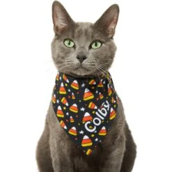 Frisco Candy Corn Personalized Dog & Cat Bandana 18 Frisco Candy Corn Personalized Dog & Cat Bandana -Meow Meals 287056 PT7. AC SS1800 V1623246828