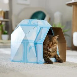 Frisco Igloo Cardboard Cat House -Meow Meals 287293 PT4. AC SS1800 V1692035193