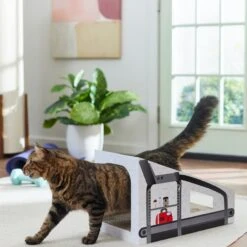 Frisco Treadmill Cardboard Cat House -Meow Meals 288967 PT3. AC SS1800 V1638288289