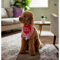 Disney Mickey Mouse "Love Mickey" Dog & Cat Bandana -Meow Meals 290119 PT5. AC SS1800 V1637362002