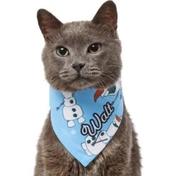 Disney Frozen's Olaf & Snow Personalized Dog & Cat Bandana -Meow Meals 290146 PT7. AC SS1800 V1625152400