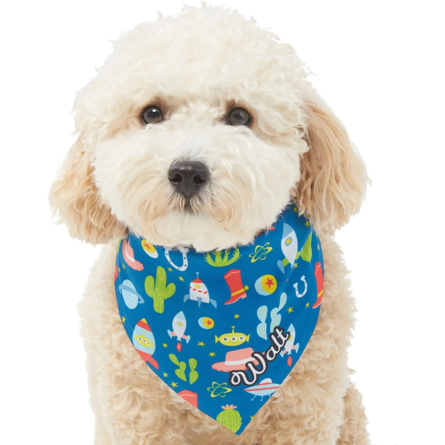 Pixar Toy Story Personalized Dog & Cat Bandana 9 Pixar Toy Story Personalized Dog & Cat Bandana - Image 7