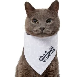 Disney Mickey Mouse Streetwear Personalized Dog & Cat Bandana -Meow Meals 290174 PT7. AC SS1800 V1625154485