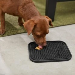 Disney Mickey Silicone Dog & Cat Lick Mat -Meow Meals 291437 PT2. AC SS1800 V1633978976