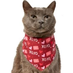 Frisco Love Letters Dog & Cat Bandana -Meow Meals 292051 PT2. AC SS1800 V1637269050