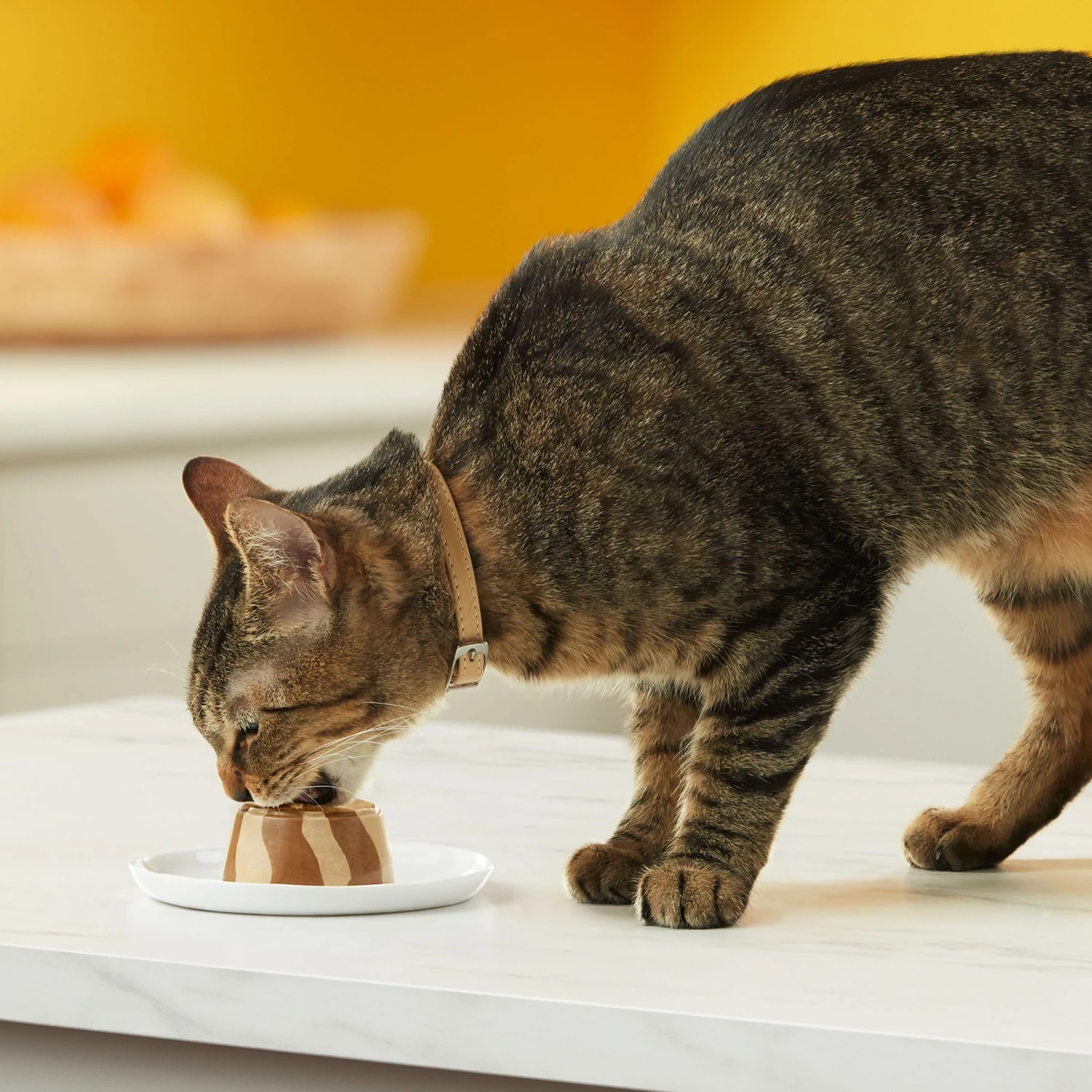 Meow Mix Tasty Layers Variety Pack Swirled Paté Cat Food, 2.75-oz Can, Case Of 12 8 Meow Mix Tasty Layers Variety Pack Swirled Paté Cat Food, 2.75-oz Can, Case Of 12 - Image 6