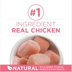 Purina ONE +Plus Healthy Kitten Formula Natural Dry Cat Food & Fancy Feast Tender Feast Variety Pack Canned Kitten Food -Meow Meals 293522 PT8. AC SS1800 V1679927722